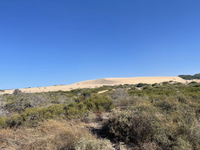 Large Sand Dunes